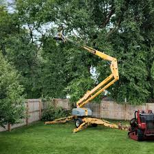 Best Tree Removal  in Twisp, WA