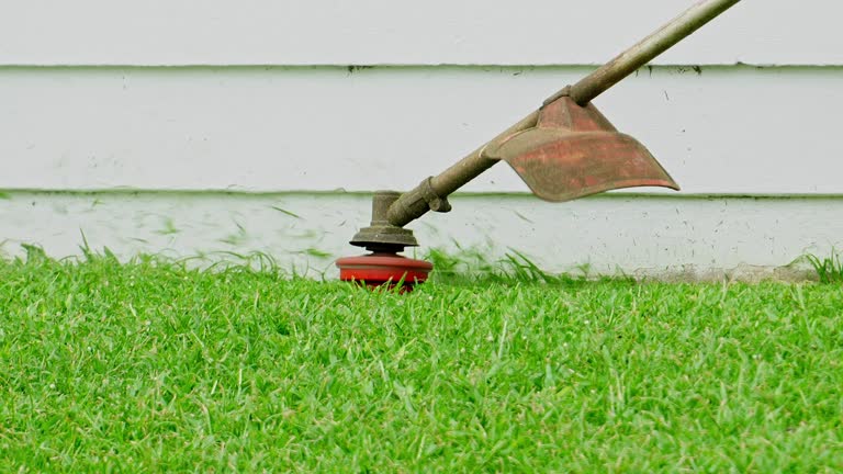 Best Lawn Mowing  in Twisp, WA